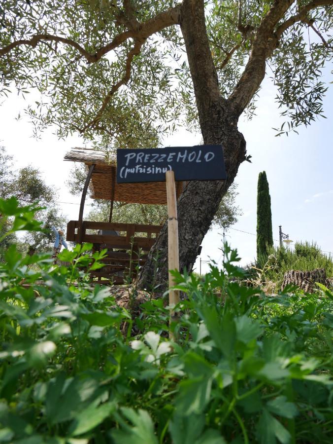 Pantalica Ranch Agriturismo Siciliano Villa Sortino Esterno foto