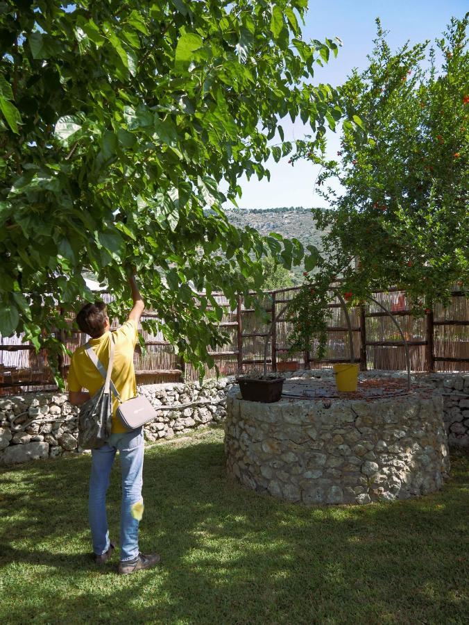 Pantalica Ranch Agriturismo Siciliano Villa Sortino Esterno foto