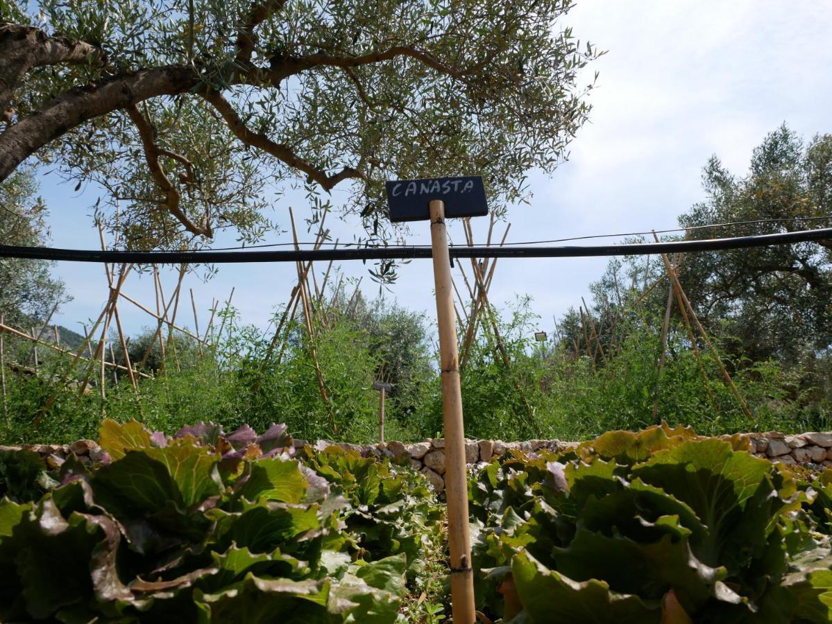 Pantalica Ranch Agriturismo Siciliano Villa Sortino Esterno foto